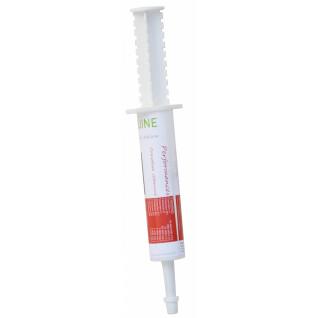 Syringe for horse vitamin supplement Alliance Equine Performance
