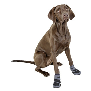 Dog shoes Kerbl Active