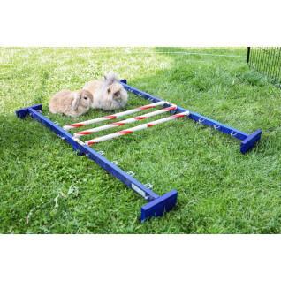 Combined rodent obstacle Kerbl Agility
